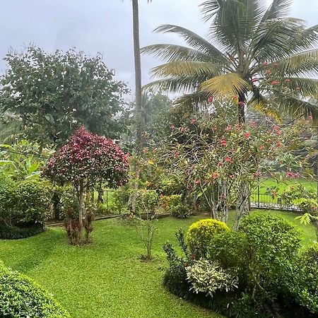 Surveyor'S Residence Bungalow Kandy Kültér fotó