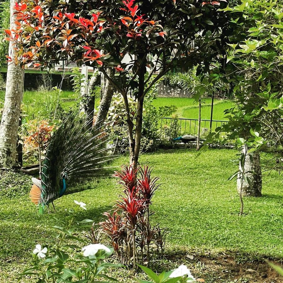 Surveyor'S Residence Bungalow Kandy Kültér fotó