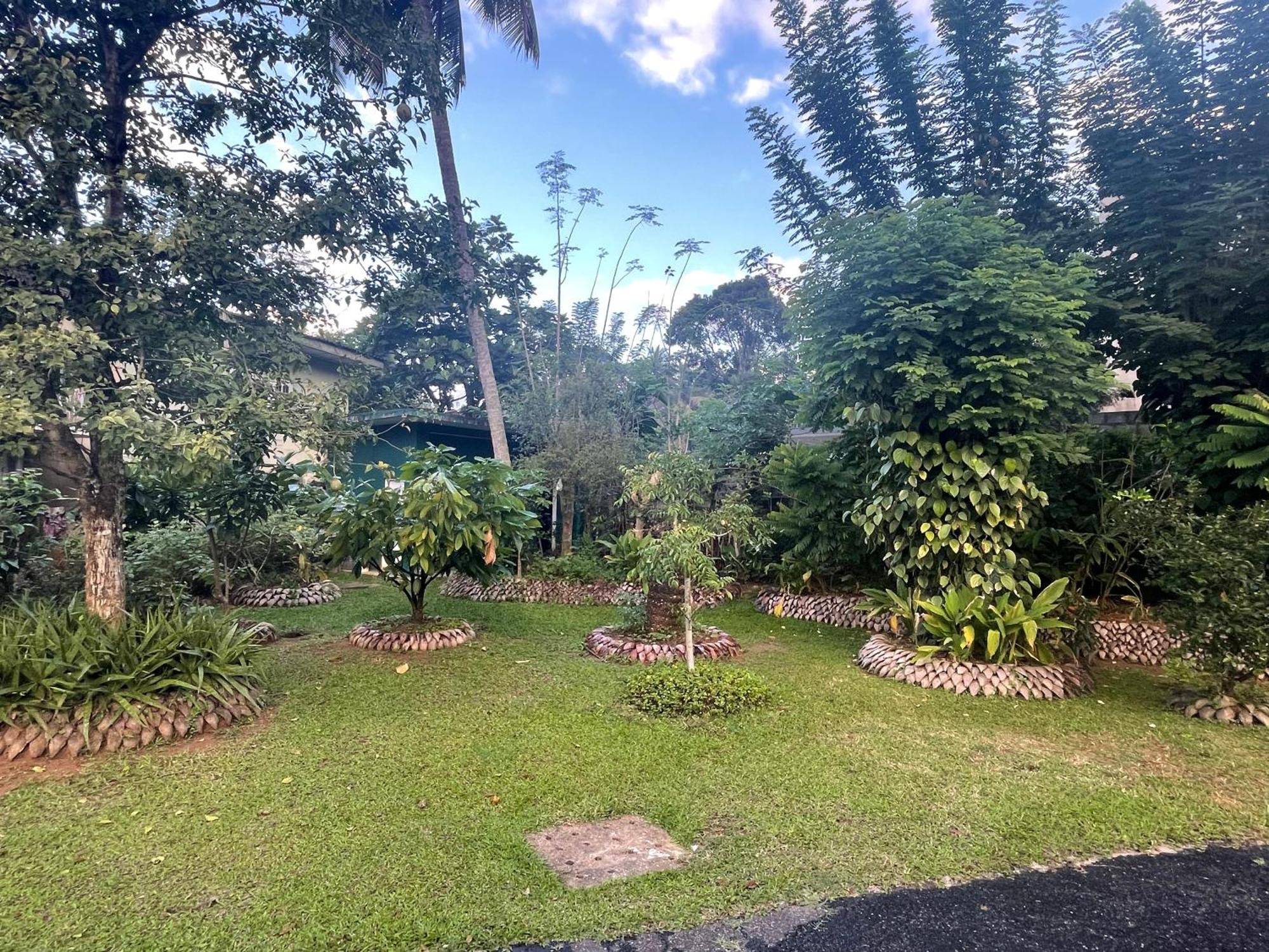 Surveyor'S Residence Bungalow Kandy Kültér fotó